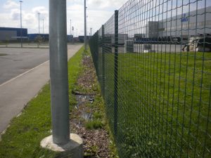 Võrkaiad